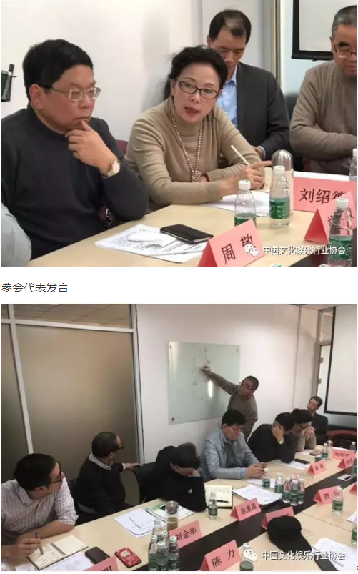 参会代表发言